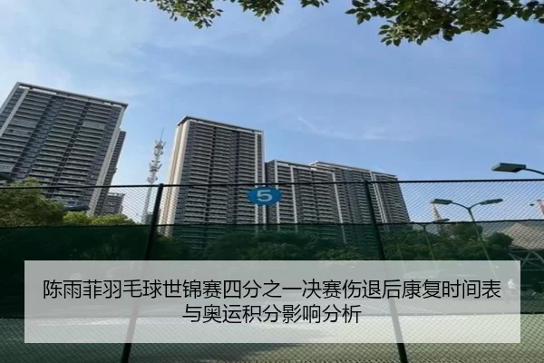 陈雨菲羽毛球世锦赛四分之一决赛伤退后康复时间表与奥运积分影响分析